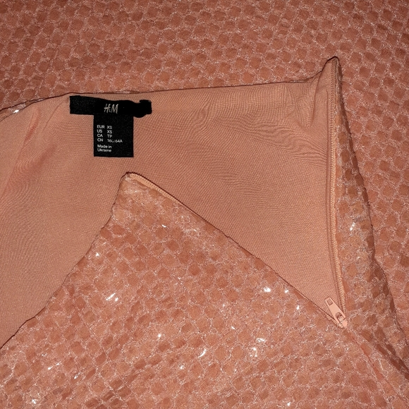 XS H&M Shimmery Skirt - Picture 3 of 5